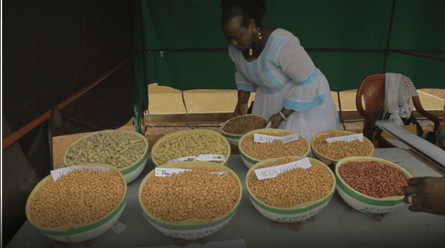 La 15e Assemblée générale des entreprises semencières du Mali met l’accent sur la sécurité alimentaire et nutritionnelle